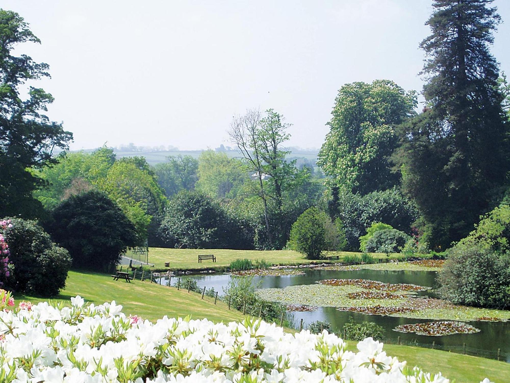 Heligan - B6522 Villa Saint Cleer Bagian luar foto